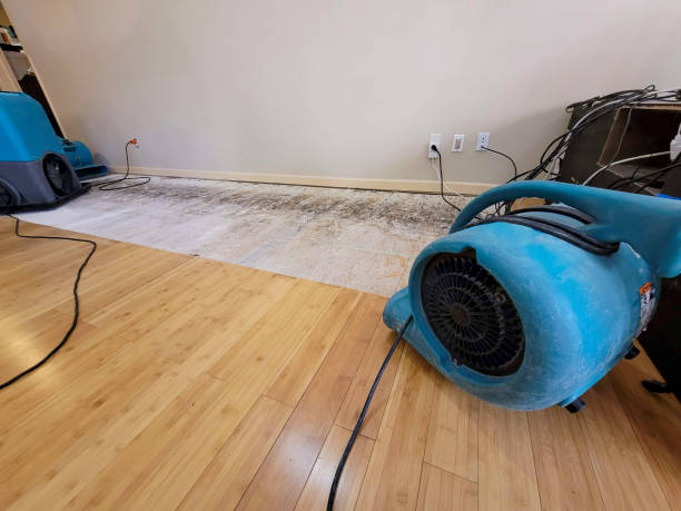Professional Flood Damage Cleanup technician working in Harvey, ND